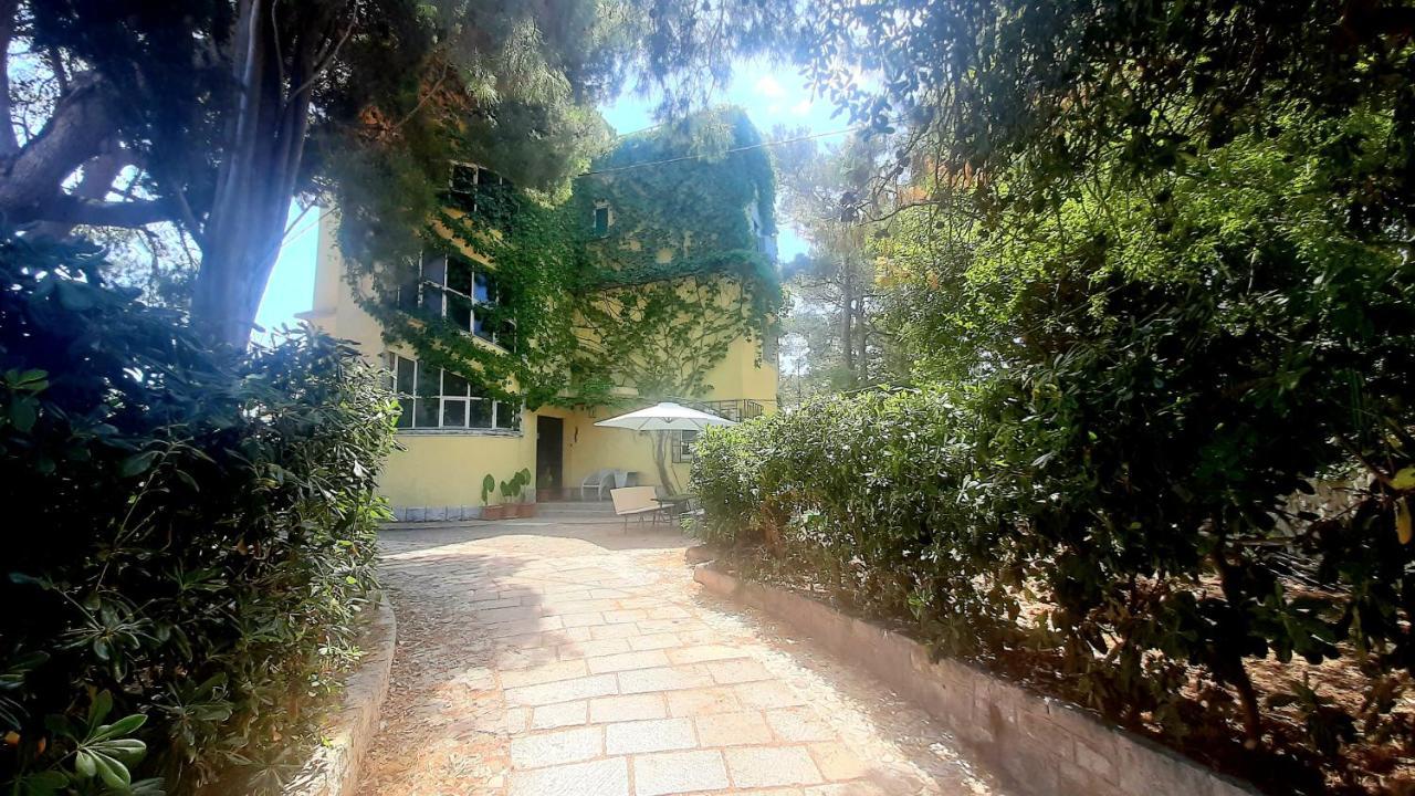 Old Captain'S Apartments - In A Pine Wood By The Sea And Tennis Courts 스플리트 외부 사진