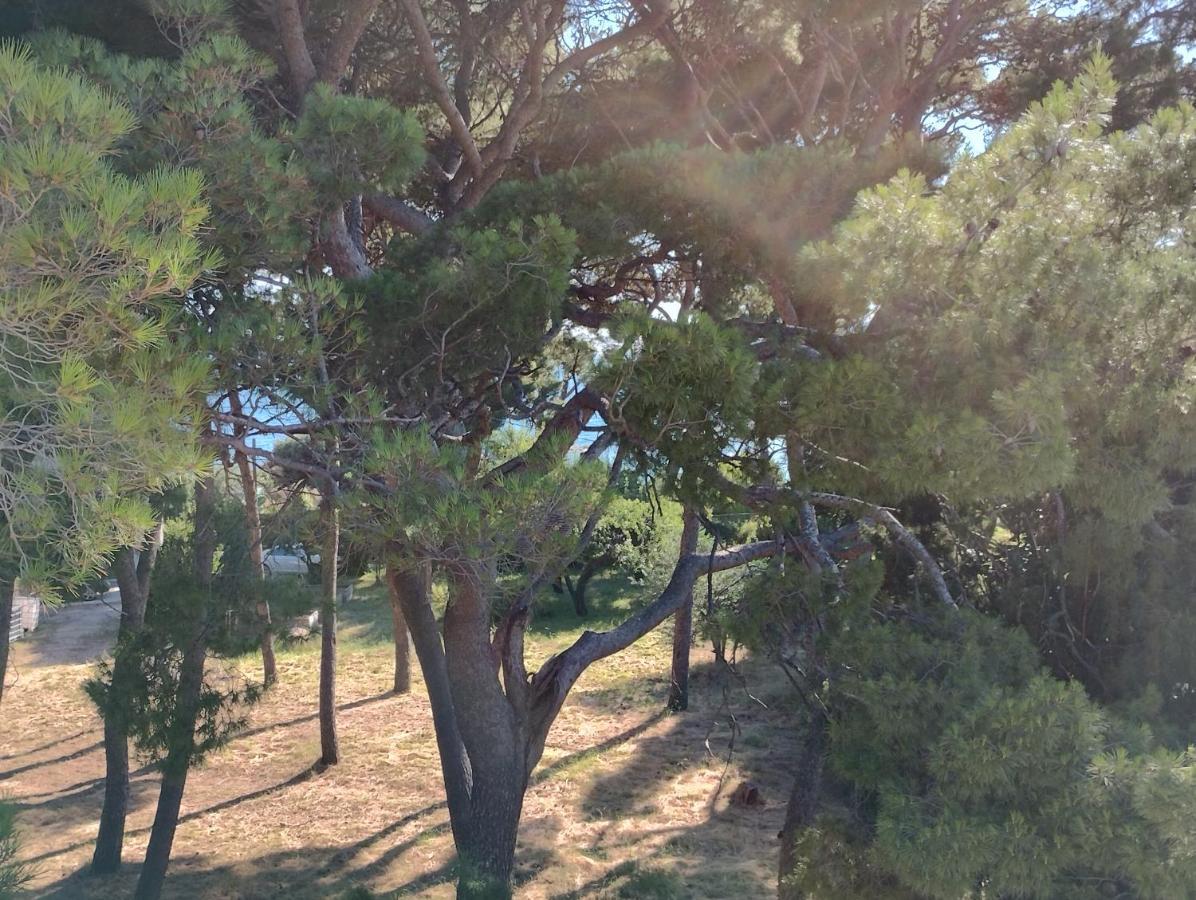 Old Captain'S Apartments - In A Pine Wood By The Sea And Tennis Courts 스플리트 외부 사진